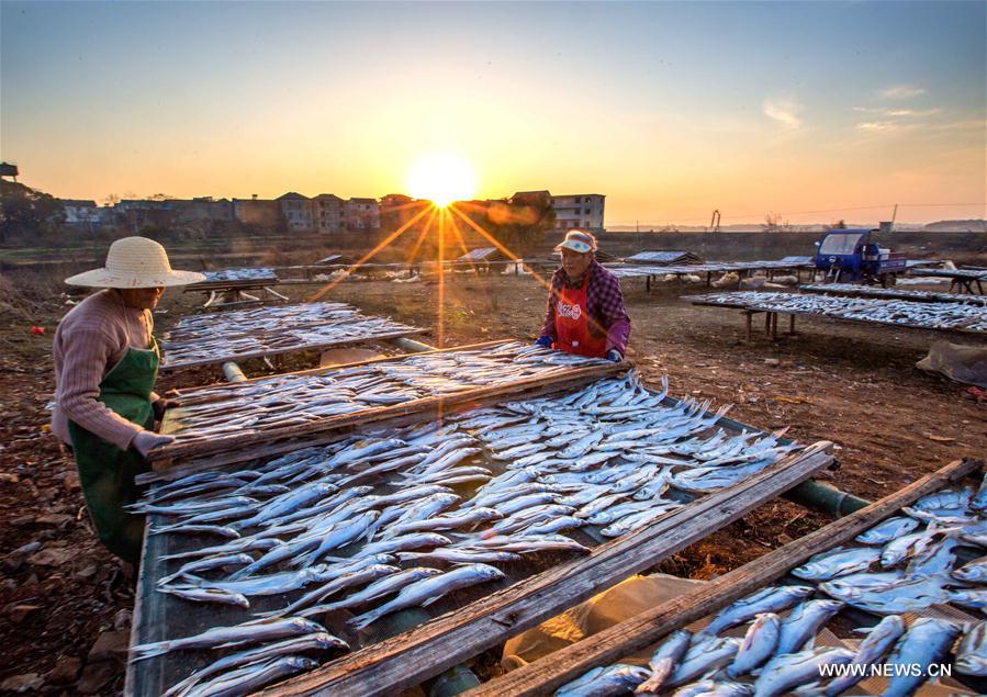 #CHINA-JIANGXI-FISH-DRYING (CN)