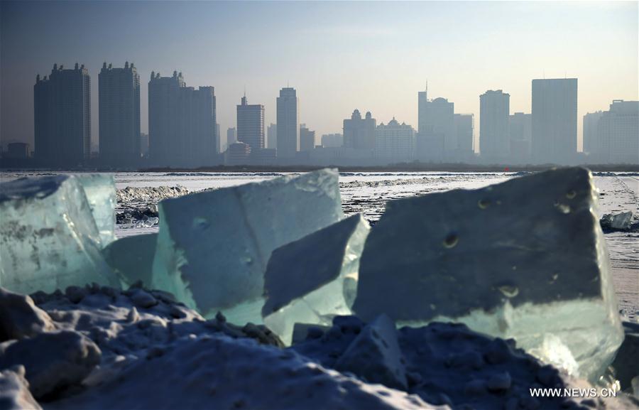 CHINA-HARBIN-ICE CUBE (CN)