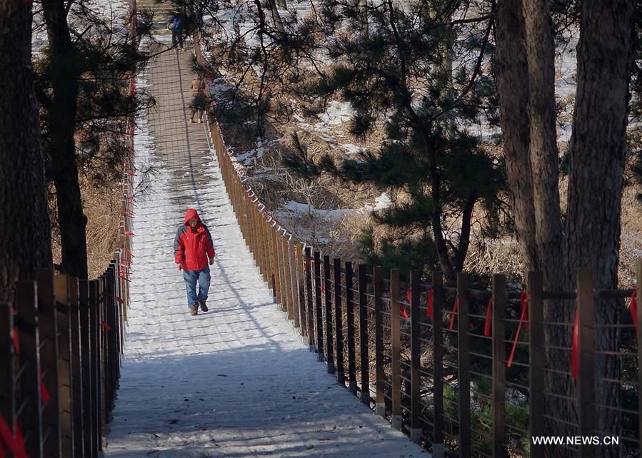 CHINA-HENAN-XINYANG-HUANGBAISHAN NATIONAL FOREST PARK (CN) 