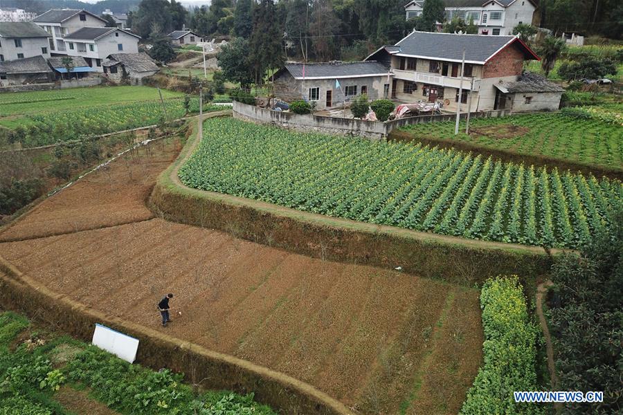 CHINA-JINGZHE-FARM WORK (CN) 