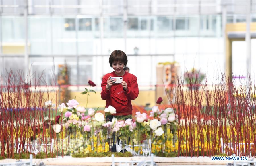 CHINA-CHONGQING-NETHERLANDS-FLOWER-SHOW (CN)