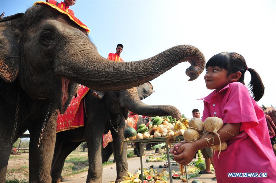 THAILAND-AYUTTHAYA-ELEPHANT DAY