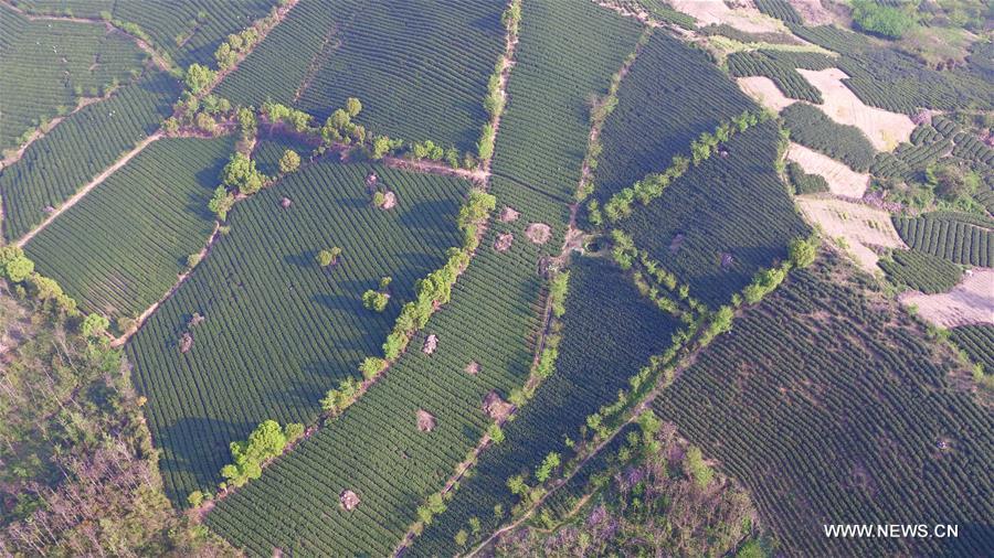 CHINA-WUXI-SPRING VIEWS (CN)