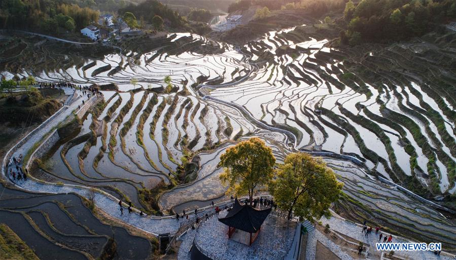 CHINA-HUBEI-TERRACE-SCENERY (CN)