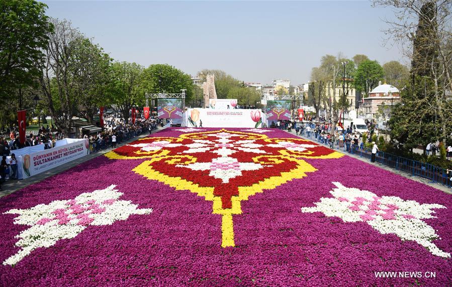 TURKEY-ISTANBUL-TULIP CARPET