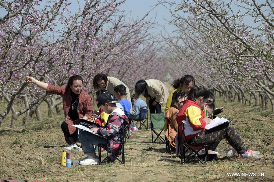 CHINA-HEBEI-PEACH FIELD-ART LESSON (CN)