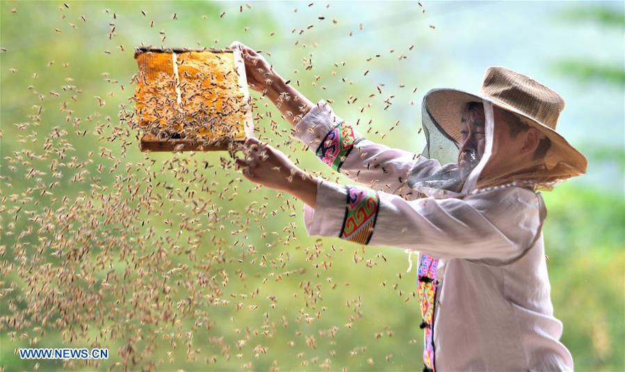 #CHINA-HUBEI-LAIFENG-RURAL ENTREPRENEUR STORY (CN)