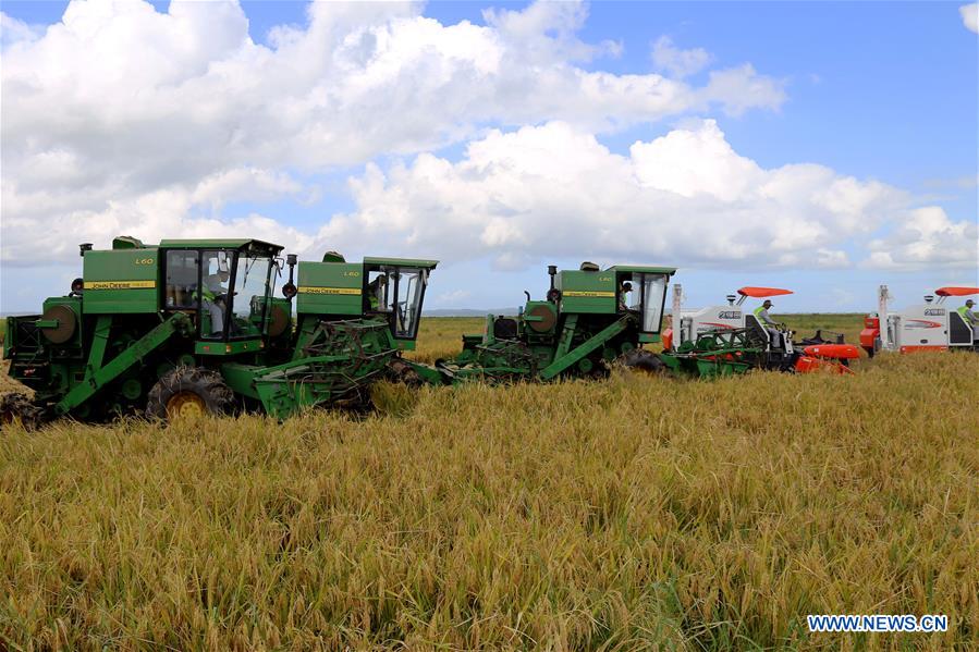 MOZAMBIQUE-GAZA-CHINA-AGRICULTURAL PROJECT