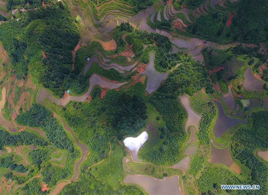 CHINA-GUANGXI-RONGSHUI-TERRACE FIELDS (CN)