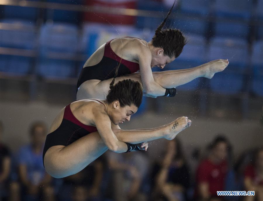 (SP)CHINA-WUHAN-DIVING-FINA-WORLD CUP (CN)