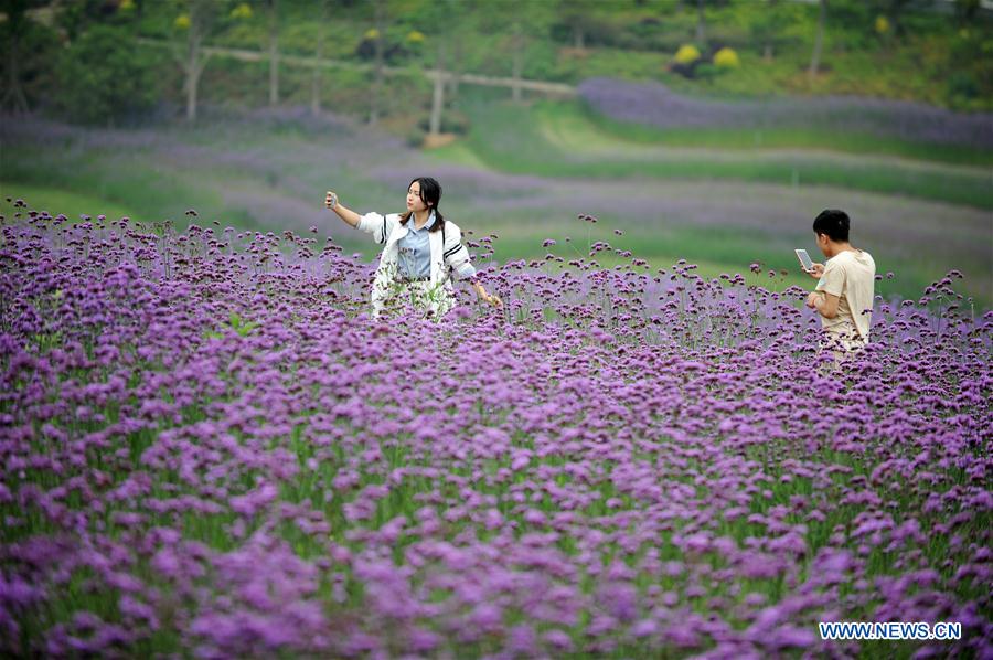 CHINA-GUIZHOU-WASTELAND-SCENIC SPOT (CN)