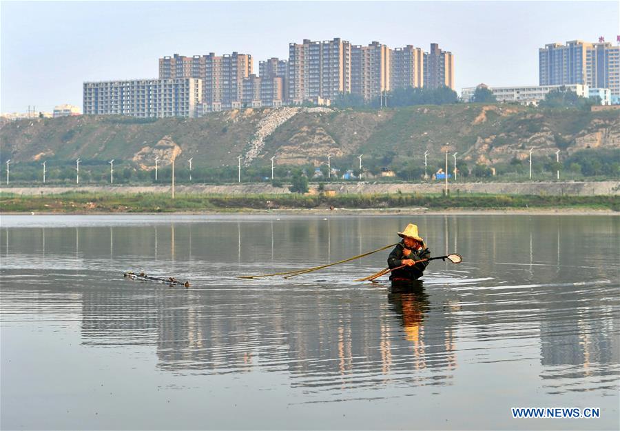 CHINA-SHANXI-BRINE SHRIMP-HARVEST (CN)