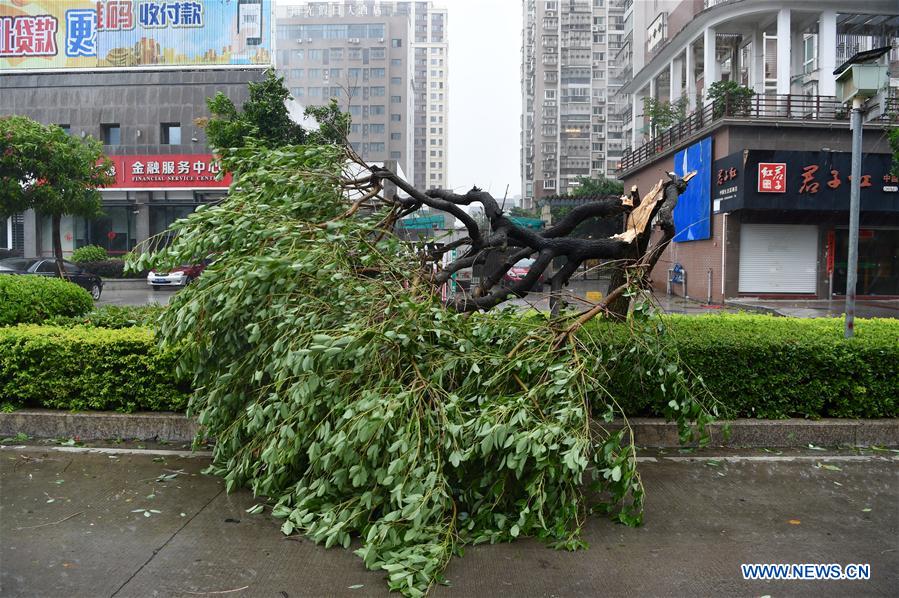 CHINA-TYPHOON MARIA-LANDFALL (CN)