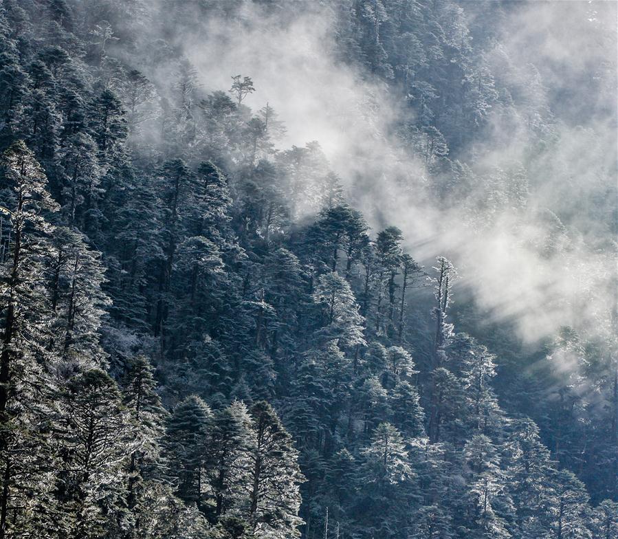 Xinhua Headlines: Qinghai-Tibet Plateau still one of cleanest regions on earth