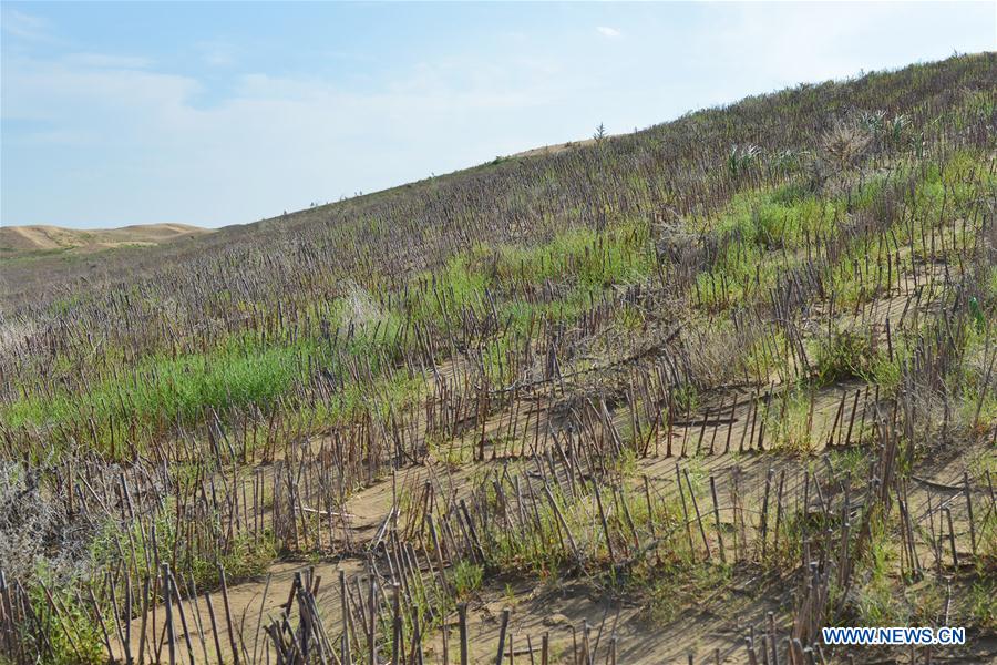 CHINA-INNER MONGOLIA-KUBUQI-DESERT CONTROL (CN)