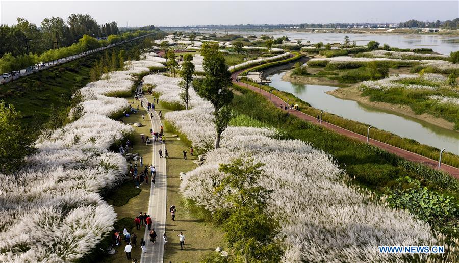 CHINA-SHAANXI-HANJIANG RIVER-WETLAND (CN)