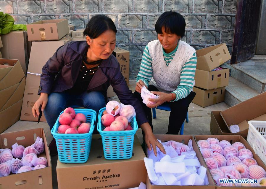 CHINA-HENAN-AGRICULTURE-FRUIT INDUSTRY (CN)