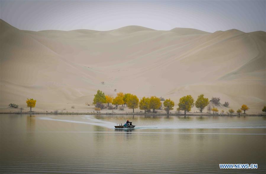 CHINA-XINJIANG-DESERT POPLAR FOREST (CN)