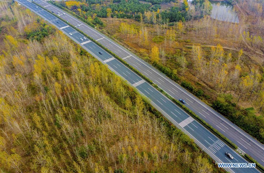 #CHINA-ANHUI-AUTUMN VIEWS (CN)