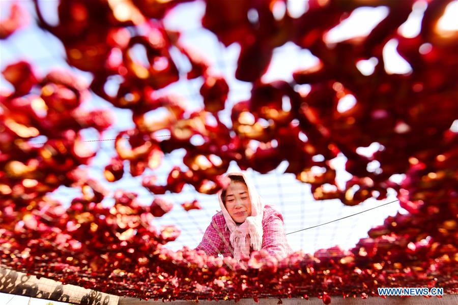 #CHINA-SHANDONG-HAWTHORN INDUSTRY (CN)