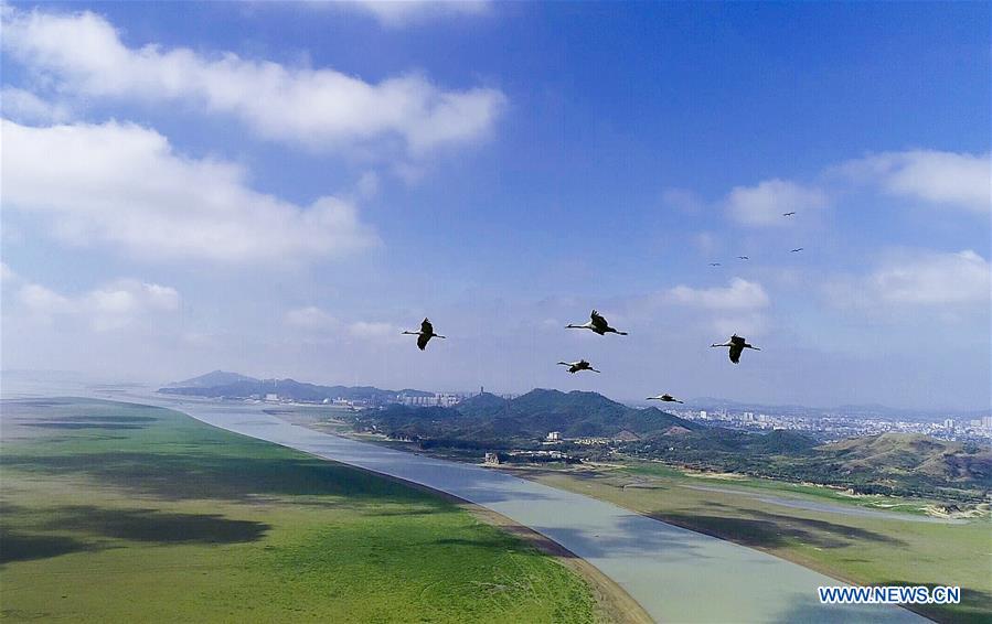 #CHINA-JIANGXI-POYANG LAKE-MIGRANT BIRDS (CN)