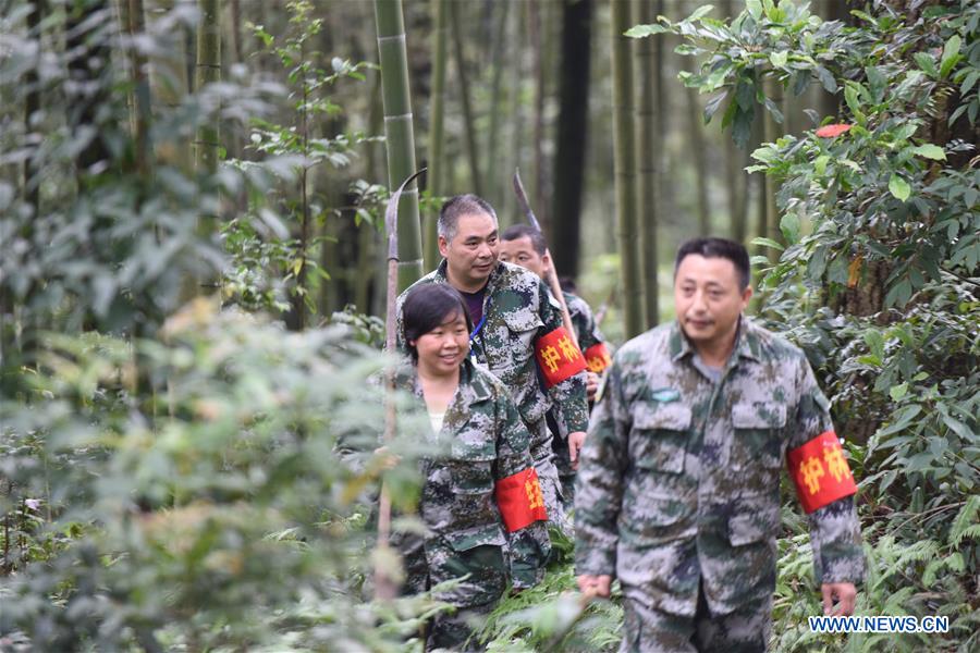 CHINA-GUIZHOU-BAMBOO FOREST-RANGERS (CN)