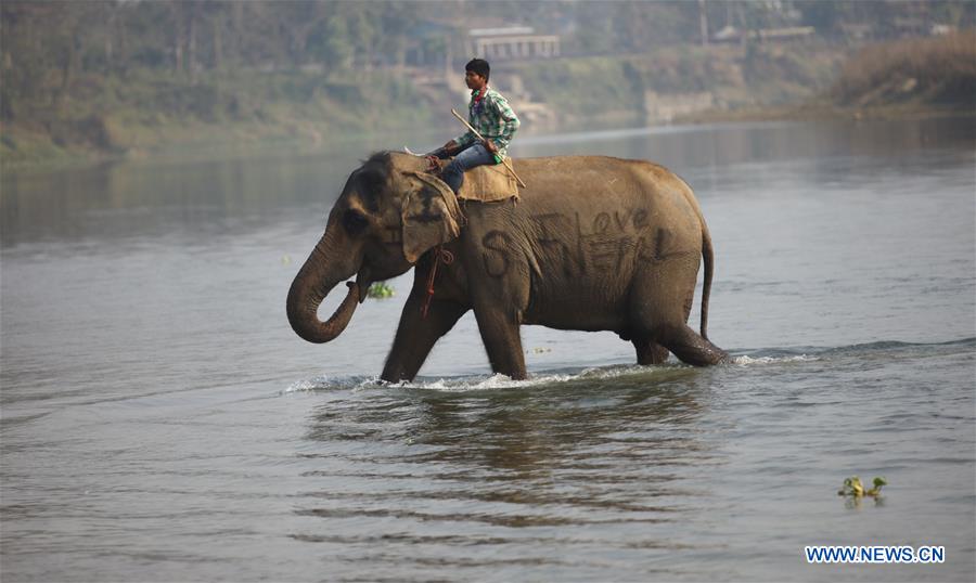 NEPAL-CHITWAN-TOURISM-DAILY LIFE