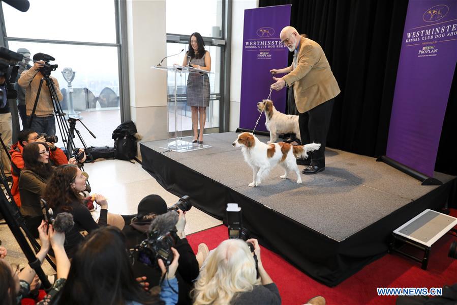 U.S.-NEW YORK-DOG SHOW-PRESS PREVIEW