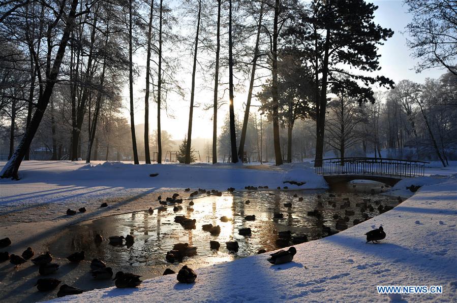 LATVIA-RIGA-WINTER SCENERY