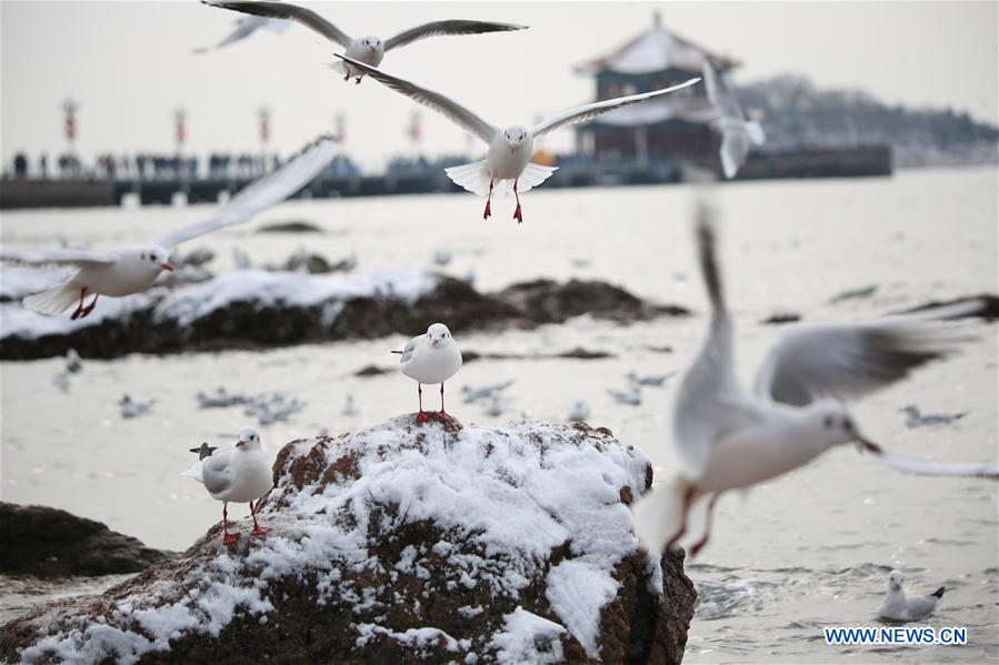 #CHINA-WEATHER-SNOW (CN)