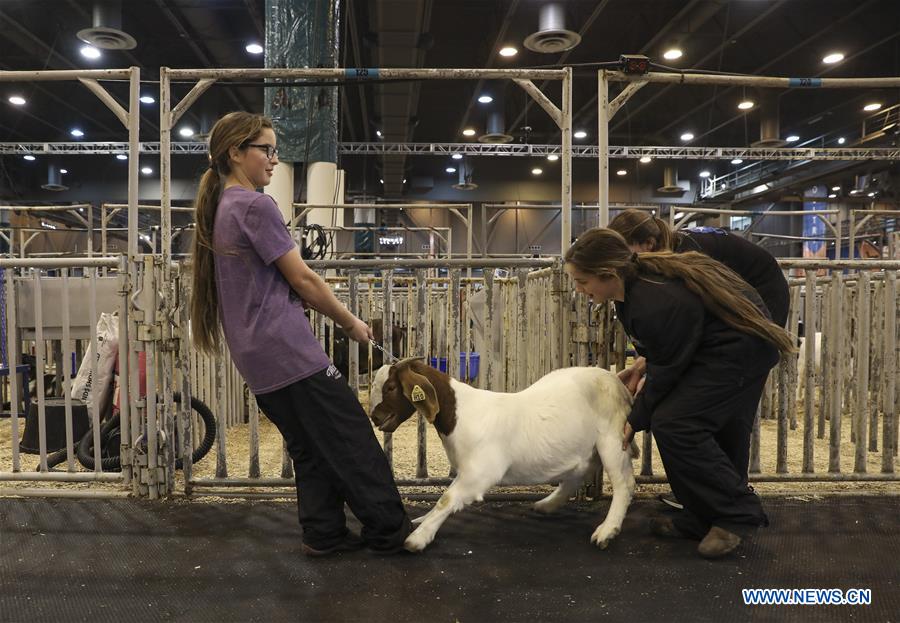 U.S.-HOUSTON-LIVESTOCK SHOW