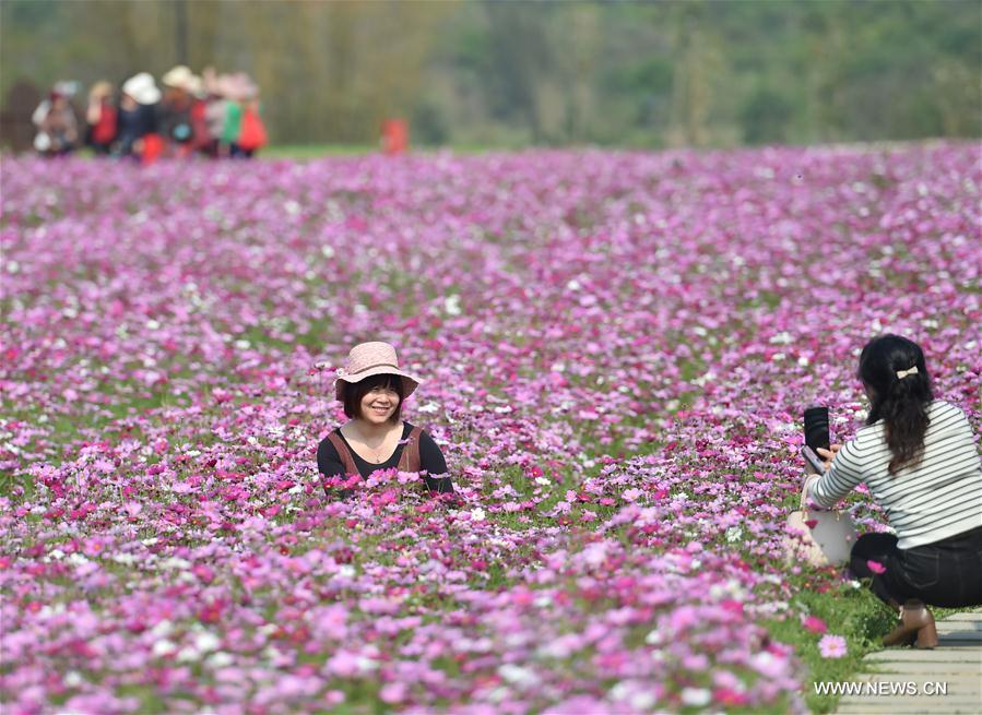 CHINA-NANNING-FLOWERS (CN)