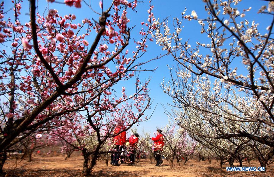 # CHINA-SPRING-SCENERY (CN)