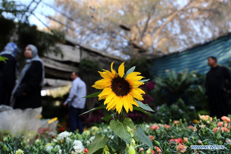 EGYPT-GIZA-FLOWER EXHIBITION