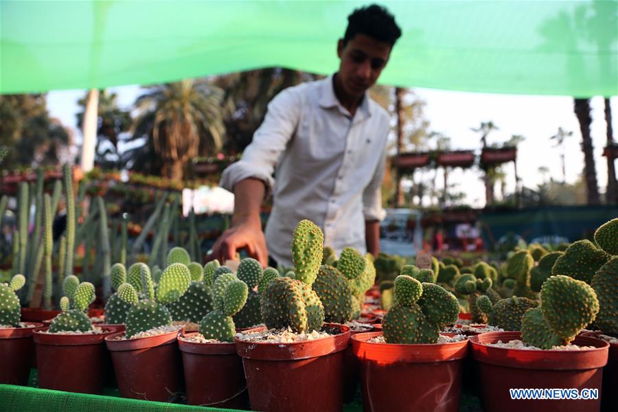 EGYPT-GIZA-FLOWER EXHIBITION