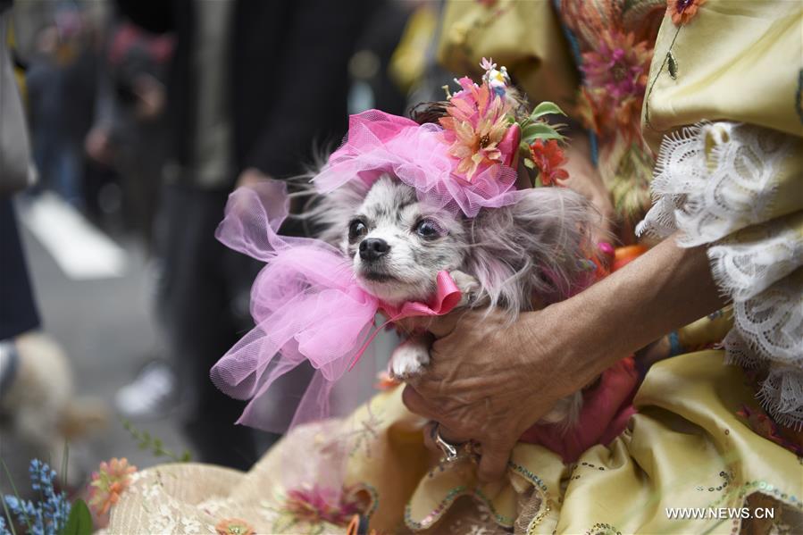 U.S.-NEW YORK-EASTER PARADE-BONNET FESTIVAL