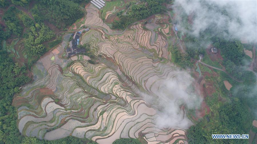 #CHINA-GUIZHOU-ZUNYI-TERRACED FIELDS (CN)