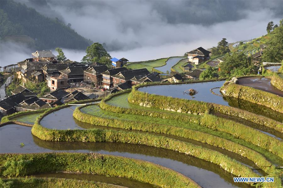 #CHINA-GUIZHOU-TERRACED FIELDS (CN)