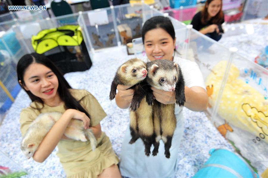 THAILAND-BANGKOK-PET EXPO