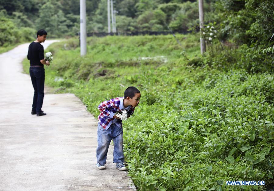 CHINA-JIANGXI-RUIJIN-SCHOOL-ONLY STUDENT (CN)