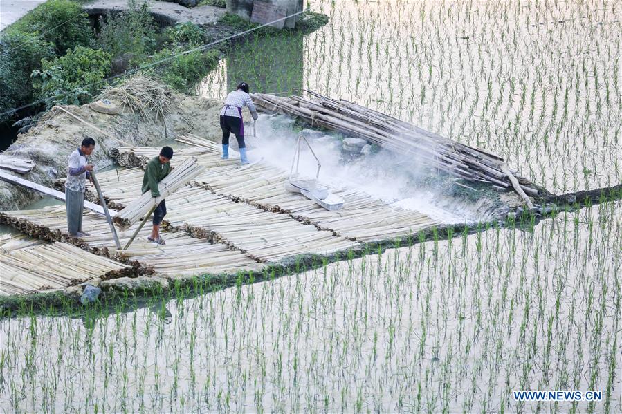 #CHINA-HUNAN-TANTOU-PAPERMAKING (CN)