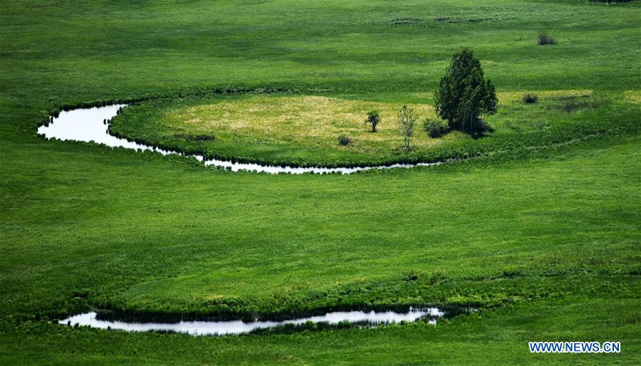 CHINA-HEILONGJIANG-WETLAND PROTECTION (CN)