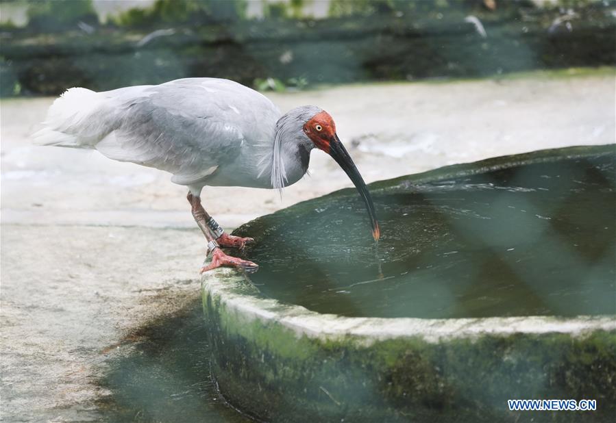 CHINA-ZHEJIANG-DEQING-WETLAND (CN)