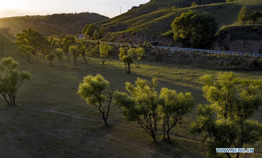 CHINA-SHAANXI-YAN'AN-GRAIN FOR GREEN (CN)