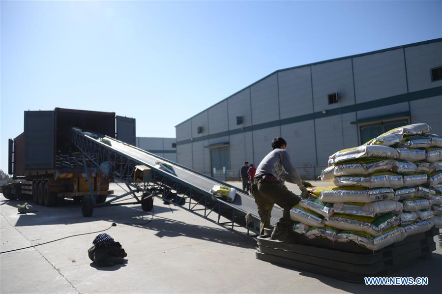 CHINA-HEILONGJIANG-HARBIN-RICE-MARKET (CN)