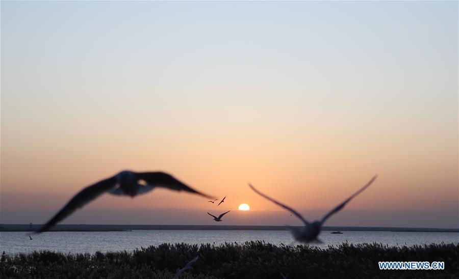 CHINA-INNER MONGOLIA-JUYANHAI LAKE-SCENERY (CN)