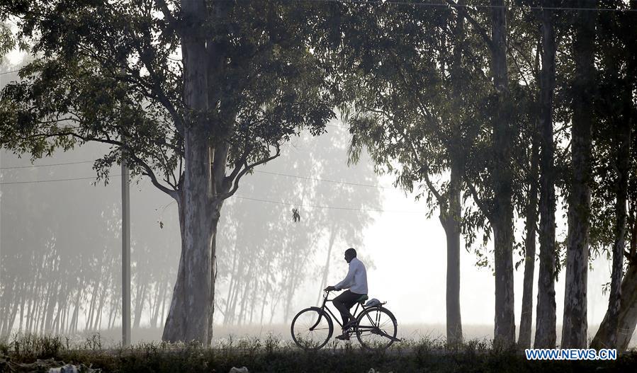 XINHUA PHOTOS OF THE DAY