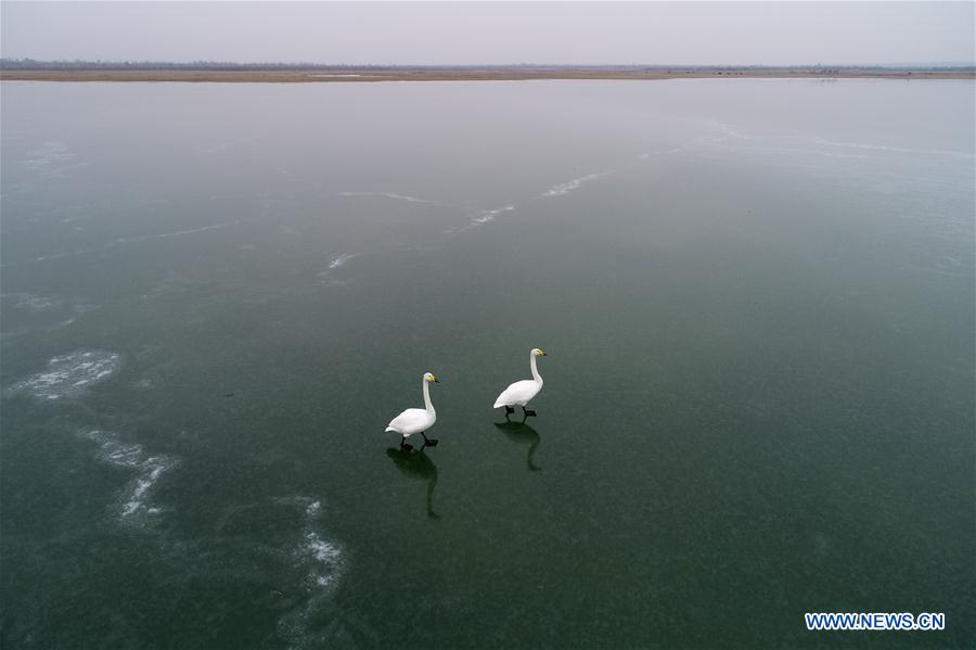 CHINA-SHAANXI-SHENMU-HONGJIANNAO LAKE-SCENERY (CN)