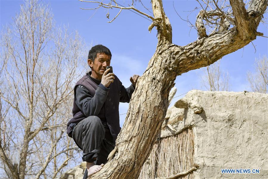 CHINA-XINJIANG-TAKLIMAKAN DESERT-RESETTLEMENT (CN)