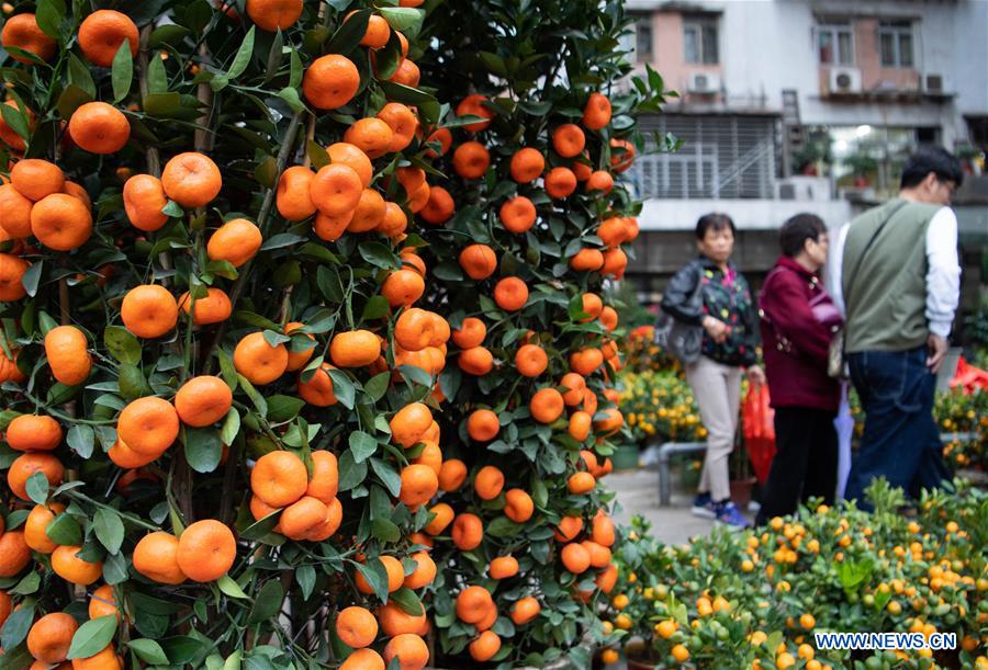 CHINA-MACAO-LUNAR NEW YEAR-SHOPPING (CN)